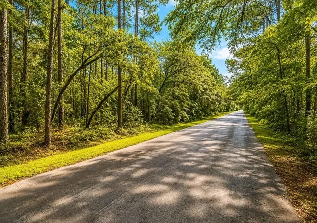 Photo 1 of Land for sale at 000 SW 34th Street, Dunnellon, FL 34432 | MLS# TB8536121 | Listing updated on 2026-09-15