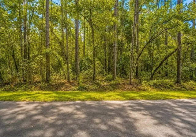 Photo 3 of Land for sale at 000 SW 34th Street, Dunnellon, FL 34432 | MLS# TB8536121 | Listing updated on 2026-09-15