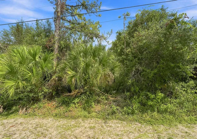 Photo 3 of Land for sale at Henderson Ln, North Port, FL 34286 | MLS# A4702219 | Listing updated on 2026-09-11