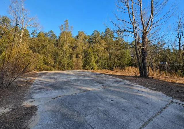 Photo 2 of Land for sale at 14175 Se 209th Terrace, Umatilla, FL 32784 | MLS# TB8539119 | Listing updated on 2026-09-11
