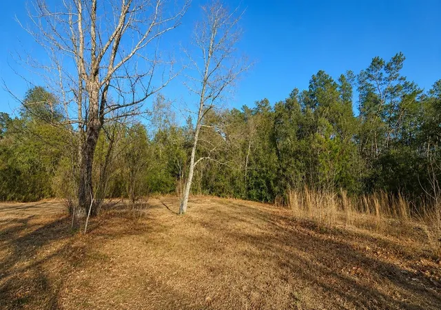 Photo 3 of Land for sale at 14175 Se 209th Terrace, Umatilla, FL 32784 | MLS# TB8539119 | Listing updated on 2026-09-11