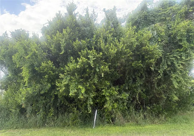 Photo 1 of Land for sale at 1600 E Claradge Ave, Avon Park, FL 33825 | MLS# L4964320 | Listing updated on 2026-09-11