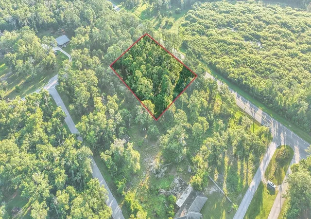 Photo 2 of Land for sale at 0 Treiman Blvd, Webster, FL 33597 | MLS# TB8539920 | Listing updated on 2026-09-15