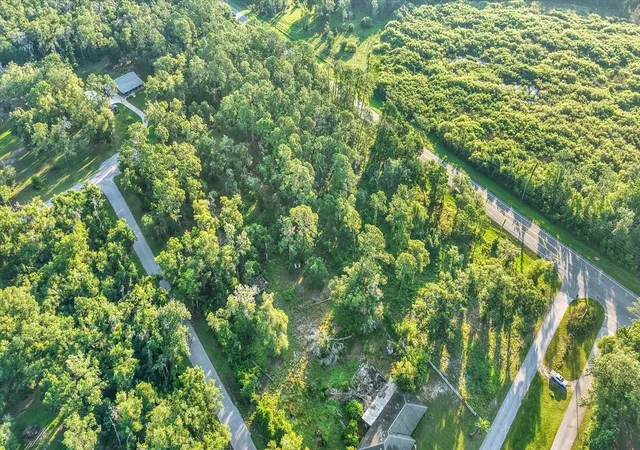 Photo 3 of Land for sale at 0 Treiman Blvd, Webster, FL 33597 | MLS# TB8539920 | Listing updated on 2026-09-15