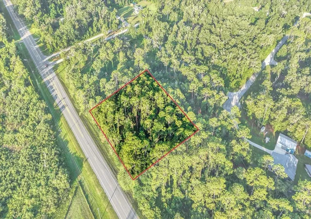 Photo 4 of Land for sale at 0 Treiman Blvd, Webster, FL 33597 | MLS# TB8539920 | Listing updated on 2026-09-15