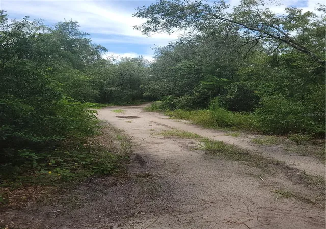 Photo 4 of Land for sale at 16518 Helen K Dr, Spring Hill, FL 34610 | MLS# G5116877 | Listing updated on 2026-09-09