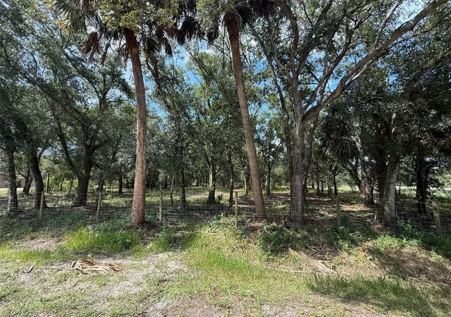 Photo 3 of Land for sale at 7757 Nw 86th Court, Okeechobee, FL 34972 | MLS# K4903733 | Listing updated on 2026-09-09