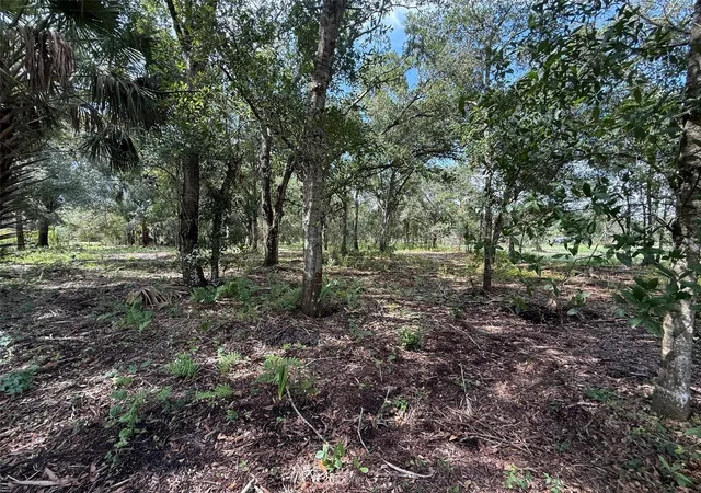 Photo 3 of Land for sale at 7757 NW 86th Court, Okeechobee, FL 34972 | MLS# K4903733 | Listing updated on 2026-09-09