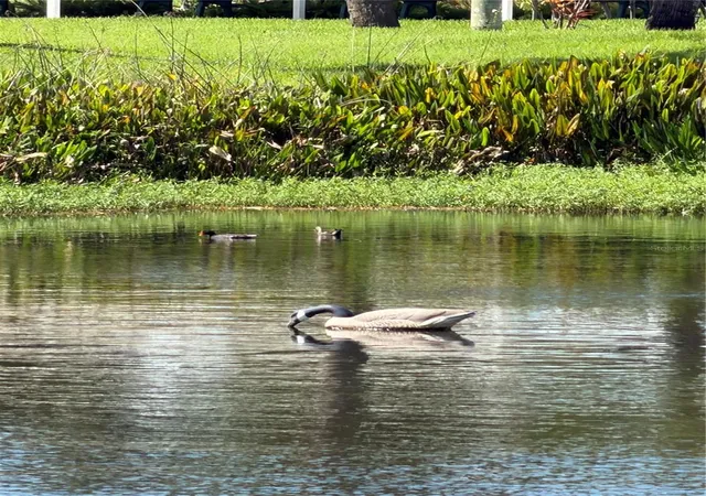 Photo 3 of Condo for sale at 4268 Madeira Ct #3324, Sarasota, FL 34233 | MLS# OM731382 | Listing updated on 2026-09-26