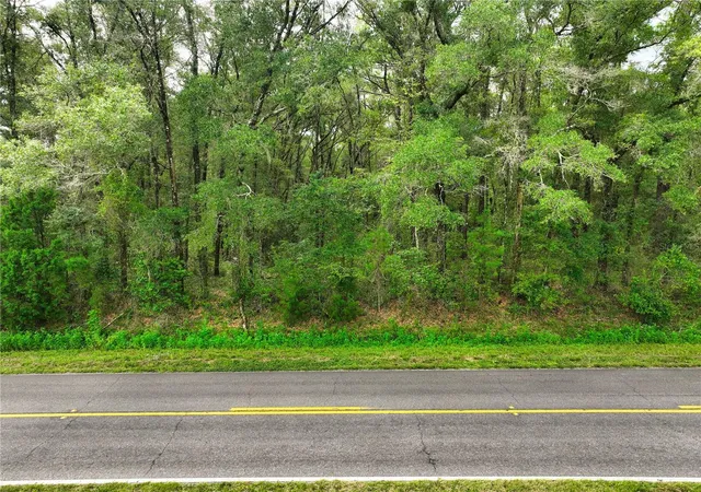 Land for sale at 17215 NW 94th Avenue, ALACHUA, FL 32615 | MLS# GC543201