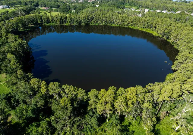 Land for sale at Tbd Collier Pkwy, LAND O LAKES, FL 34639 | MLS# TB8545065