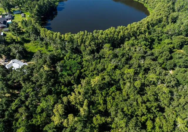 Photo 2 of Land for sale at Tbd Collier Pkwy, Land O Lakes, FL 34639 | MLS# TB8545065 | Listing updated on 2026-09-09