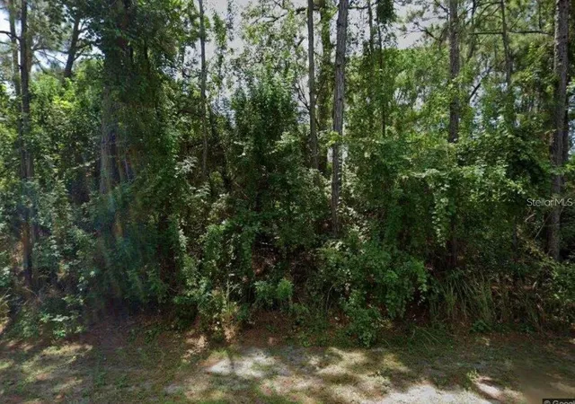 Photo 2 of Land for sale at Gingold St NW St, Palm Bay, FL 32907 | MLS# O6439277 | Listing updated on 2026-09-21