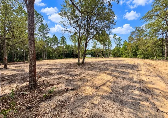 Photo 3 of Land for sale at Tbd Ne 88th Lane, Bronson, FL 32621 | MLS# GC543276 | Listing updated on 2026-09-10