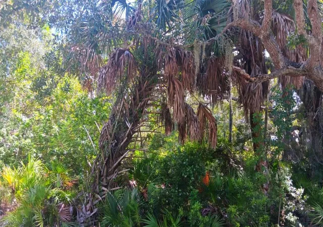 Photo 2 of Land for sale at 3526 Mentone St, Port Charlotte, FL 33980 | MLS# O6439511 | Listing updated on 2026-09-10