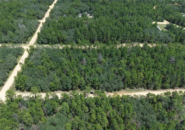 Photo 2 of Land for sale at Neilsen Ave, Interlachen, FL 32148 | MLS# O6439543 | Listing updated on 2026-10-17