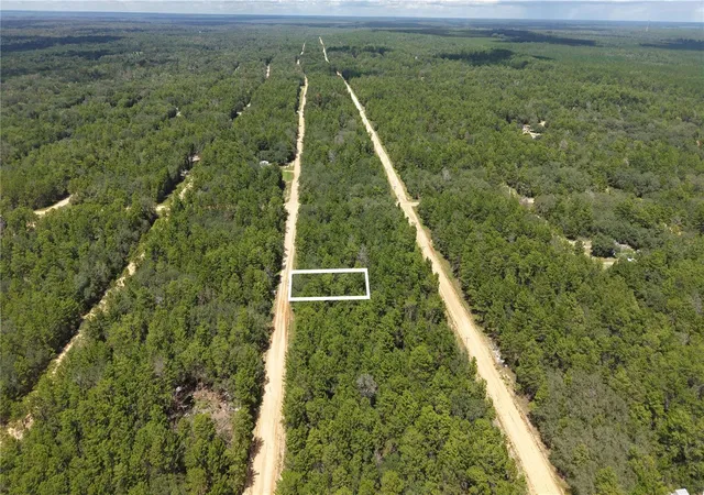 Photo 4 of Land for sale at Neilsen Ave, Interlachen, FL 32148 | MLS# O6439543 | Listing updated on 2026-10-17