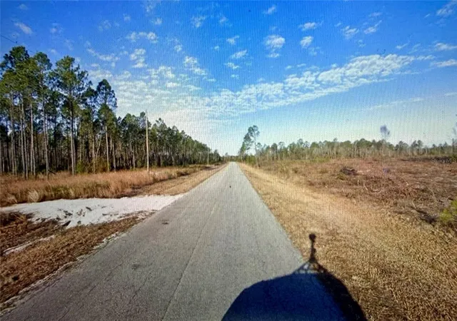 Photo 1 of Land for sale at Lots Se 3 & 4 Family Rd, Lake City, FL 32025 | MLS# O6439599 | Listing updated on 2026-10-07