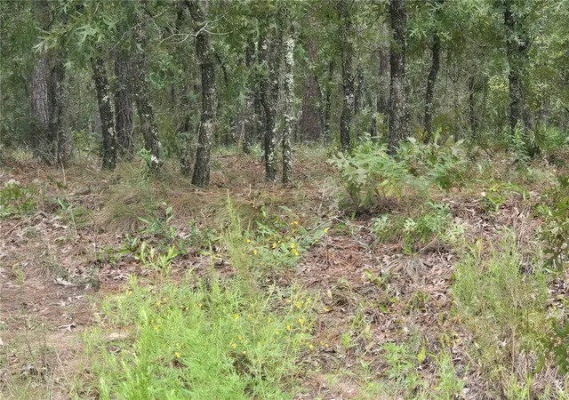 Photo 2 of Sale Pending at Sw 76th Lane, Dunnellon, FL 34432 | MLS# OM731810 | Listing updated on 2026-09-08