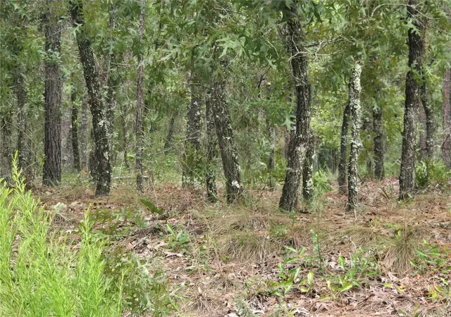 Photo 3 of Sale Pending at Sw 76th Lane, Dunnellon, FL 34432 | MLS# OM731810 | Listing updated on 2026-09-08