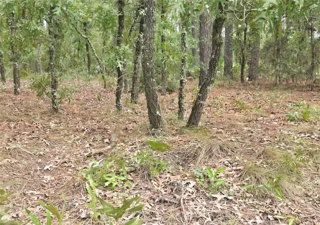 Photo 3 of Sale Pending at SW 76th Lane, Dunnellon, FL 34432 | MLS# OM731810 | Listing updated on 2026-09-08