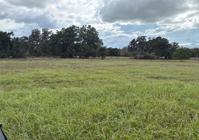 Land for sale at Pump Sta Rd, LAND O LAKES, FL 34639 | MLS# TB8546109
