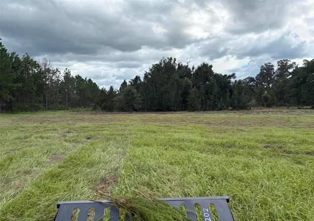 Photo 3 of Land for sale at Pump Sta Rd, Land O Lakes, FL 34639 | MLS# TB8546109 | Listing updated on 2026-09-22