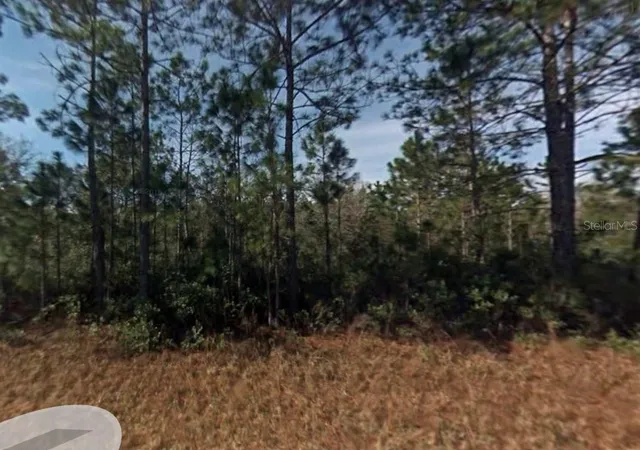 Photo 3 of Land for sale at 108?? Guzman Ave, Hastings, FL 32145 | MLS# FC321267 | Listing updated on 2026-09-15