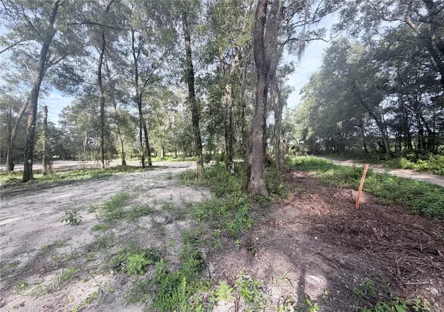 Land for sale at Southwest 150th, DUNNELLON, FL 34432 | MLS# OM731863