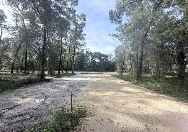Photo 3 of Land for sale at Southwest 150th, Dunnellon, FL 34432 | MLS# OM731863 | Listing updated on 2026-09-12
