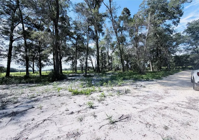 Photo 3 of Land for sale at Southwest 150th, Dunnellon, FL 34432 | MLS# OM731863 | Listing updated on 2026-09-12