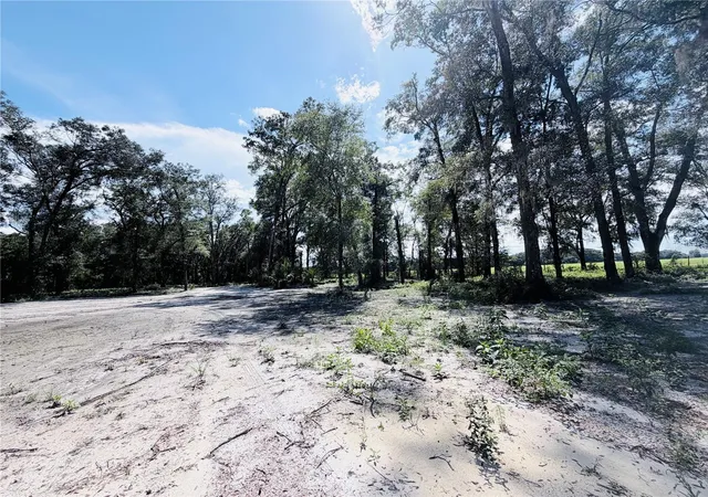 Photo 4 of Land for sale at Southwest 150th, Dunnellon, FL 34432 | MLS# OM731863 | Listing updated on 2026-09-12