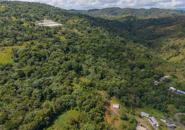 Photo 1 of Land for sale at Barrio Cubuy, Canovanas, PR 00729 | MLS# PR9124058 | Listing updated on 2026-09-10