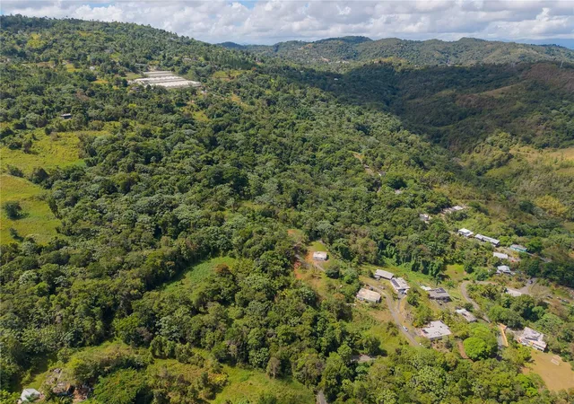 Photo 2 of Land for sale at Barrio Cubuy, Canovanas, PR 00729 | MLS# PR9124058 | Listing updated on 2026-09-10