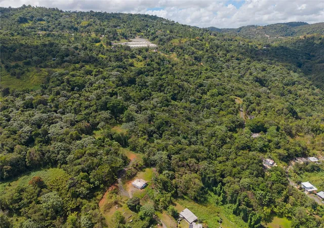 Photo 3 of Land for sale at Barrio Cubuy, Canovanas, PR 00729 | MLS# PR9124058 | Listing updated on 2026-09-10