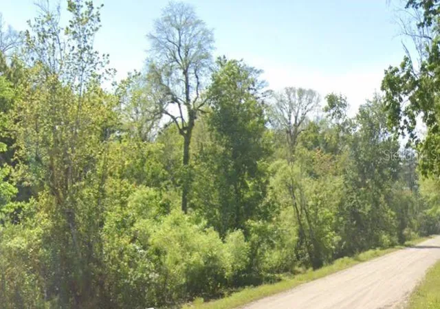 Photo 2 of Land for sale at 4001 Evergreen Ave, Bunnell, FL 32110 | MLS# A4705585 | Listing updated on 2026-09-28