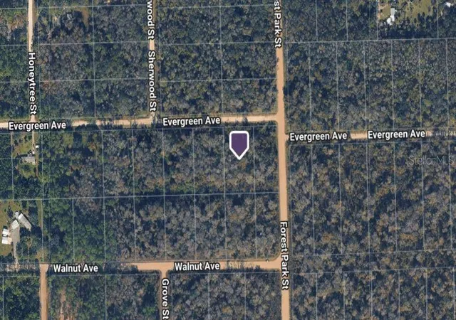 Photo 3 of Land for sale at 4001 Evergreen Ave, Bunnell, FL 32110 | MLS# A4705585 | Listing updated on 2026-09-28