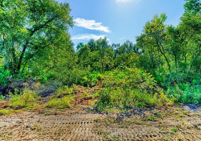Photo 3 of Land for sale at 0 Sandstone St, Webster, FL 33597 | MLS# TB8547112 | Listing updated on 2026-09-11