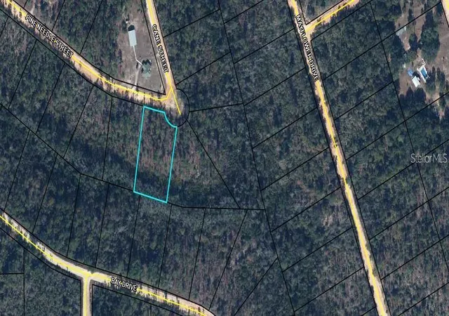 Land for sale at Tbd Pine Needle St, MARIANNA, FL 32448 | MLS# GC543400