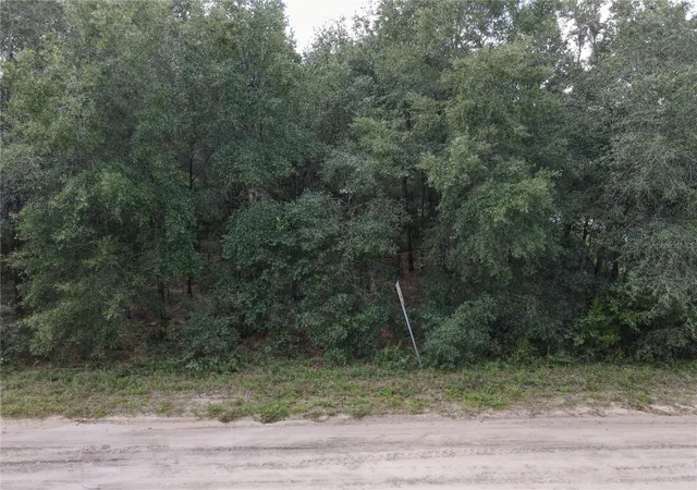 Photo 4 of Land for sale at Gunner Ave, Interlachen, FL 32148 | MLS# O6440669 | Listing updated on 2026-09-11