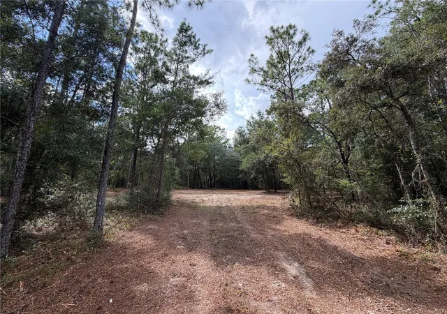 Photo 2 of Land for sale at 0 Virts Ave, Brooksville, FL 34604 | MLS# TB8547245 | Listing updated on 2026-09-28