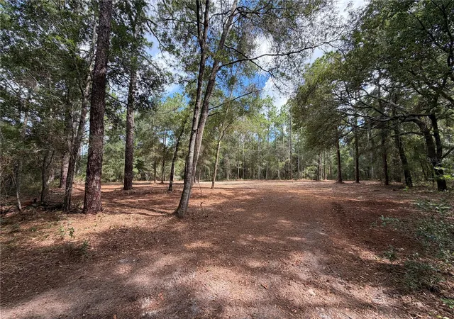 Photo 3 of Land for sale at 0 Virts Ave, Brooksville, FL 34604 | MLS# TB8547245 | Listing updated on 2026-09-28