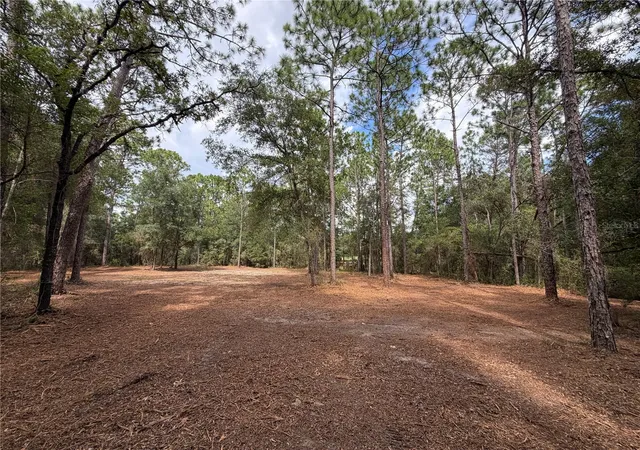 Photo 3 of Land for sale at 0 Virts Ave, Brooksville, FL 34604 | MLS# TB8547245 | Listing updated on 2026-09-28