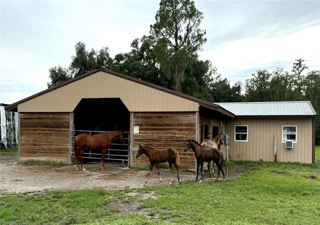 Photo 4 of Single family home for sale at 14875 Cr 751, Webster, FL 33597 | MLS# G5117612 | Listing updated on 2026-09-15