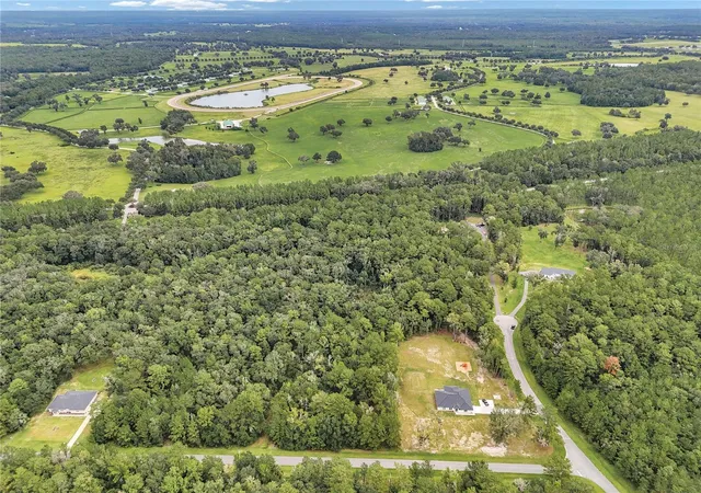 Photo 3 of Land for sale at 000 Nw 141st Avenue, Williston, FL 32696 | MLS# OM732042 | Listing updated on 2026-09-14