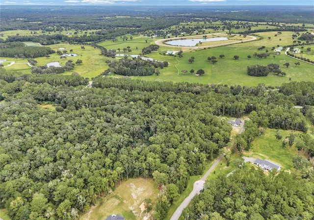 Photo 3 of Land for sale at 000 NW 141st Avenue, Williston, FL 32696 | MLS# OM732042 | Listing updated on 2026-09-14