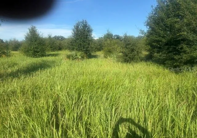 Land for sale at Welcome Rd #Lot 1, LITHIA, FL 33547 | MLS# L4964960