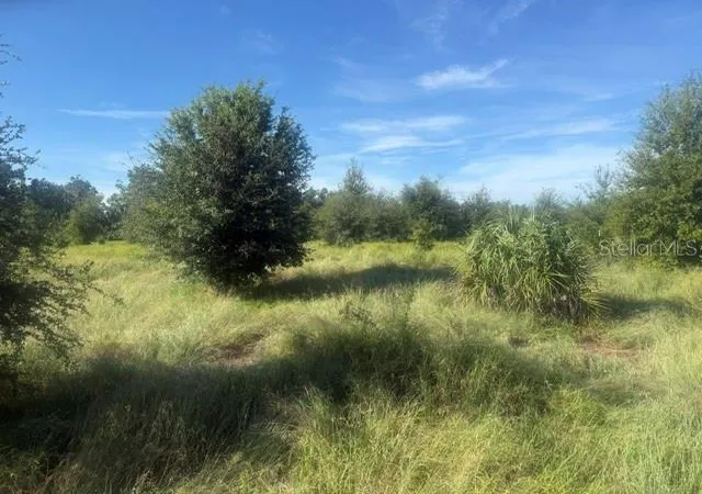 Photo 1 of Land for sale at Welcome Rd #Lot 1, Lithia, FL 33547 | MLS# L4964960 | Listing updated on 2026-09-14