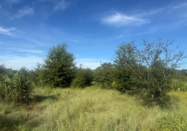 Photo 2 of Land for sale at Welcome Rd #Lot 1, Lithia, FL 33547 | MLS# L4964960 | Listing updated on 2026-09-14