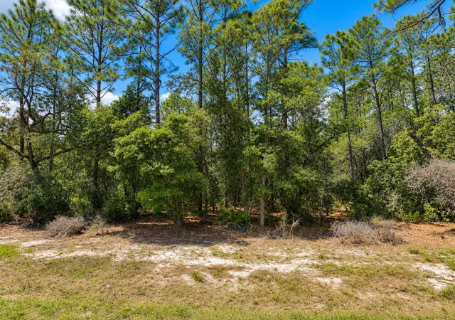 Photo 2 of Land for sale at 0 Southwest 69th Ct Rd, Ocala, FL 34473 | MLS# O6440836 | Listing updated on 2026-10-05